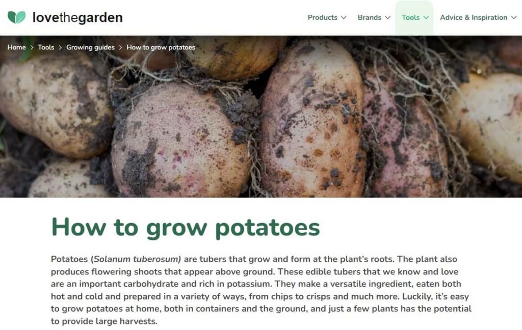 blog sobre cómo cultivar patatas